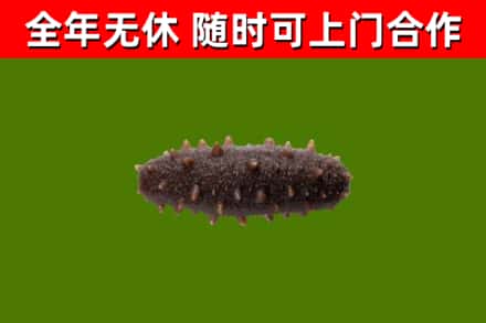 京山市烟酒回收干海参.jpg
